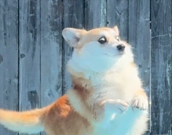 コミカル