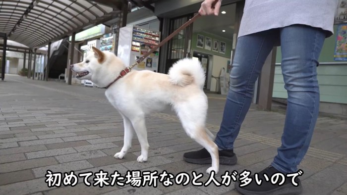ワクワク♪