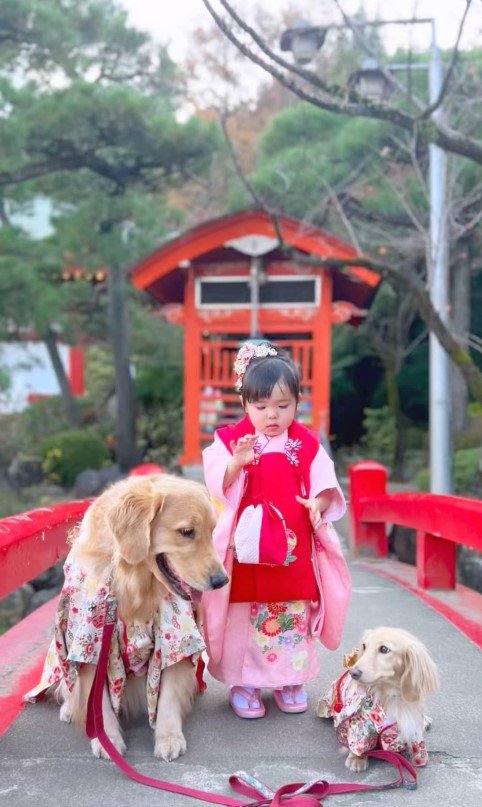 女の子とワンコたちの6年間5