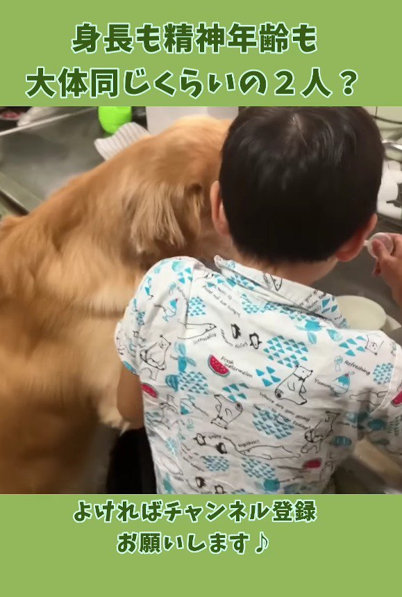 トトちゃんも気になって仕方ない