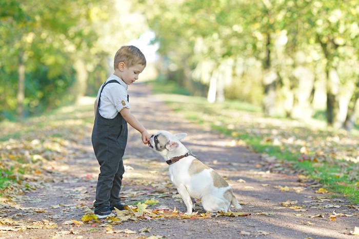 子どもにオヤツをもらう犬