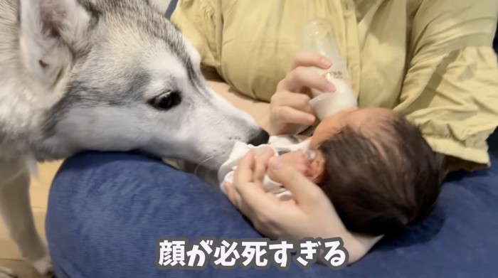 近い…！