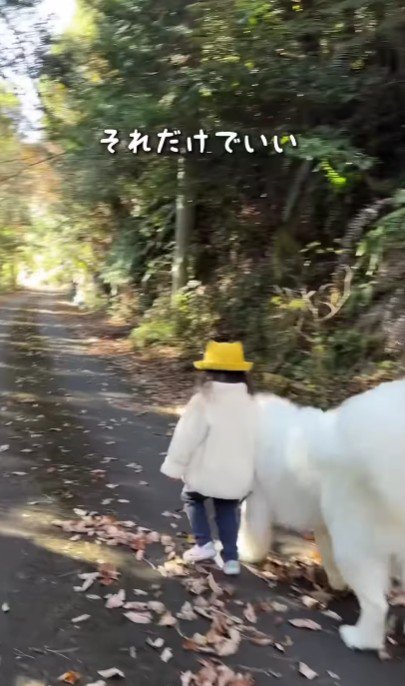 立派に歩けるよ♪