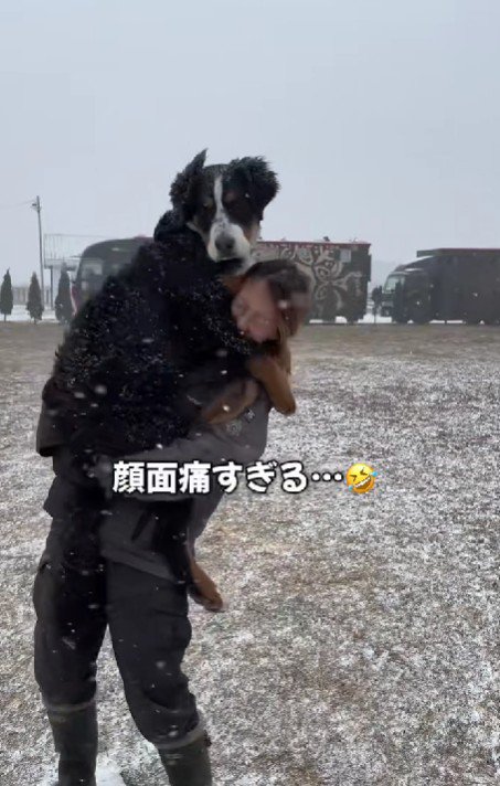 成長記録のNGシーン