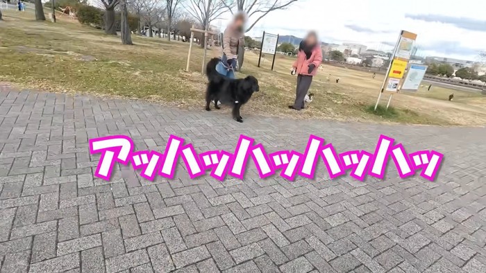 2匹の姿を見て女性たちが爆笑！