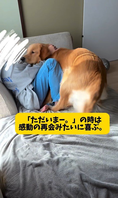 アルトくんと子どもたちの日常9