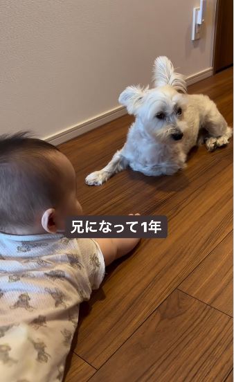 向かい合う2人