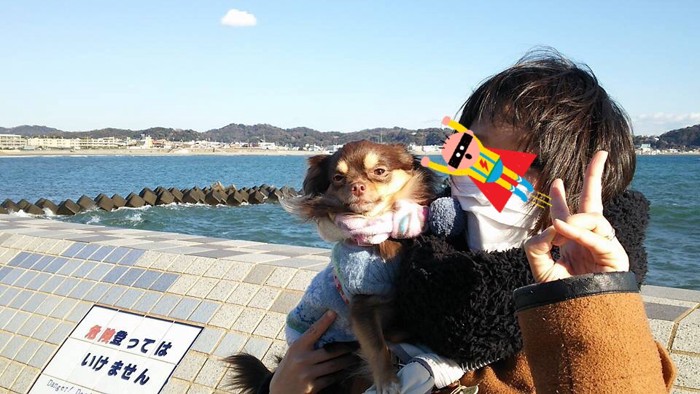 海と犬