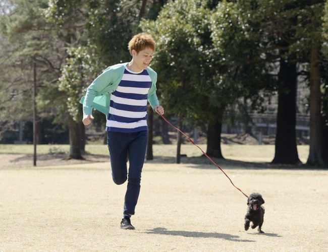 犬と走る男性