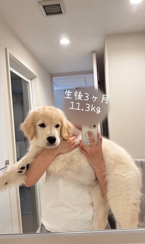 ぴの君の成長3