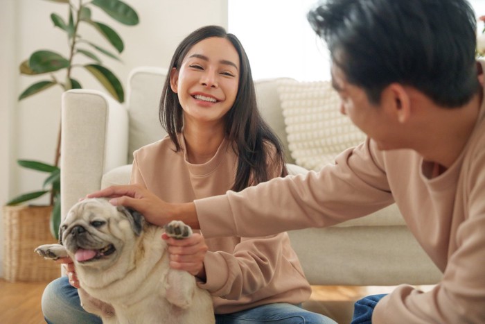 犬と夫婦