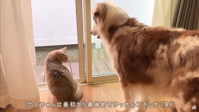 誘い方が分からない…！