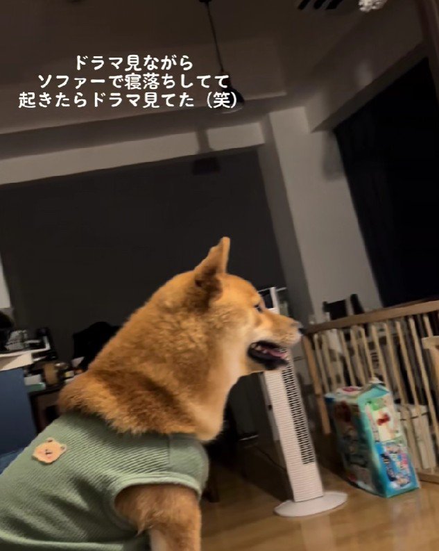 前のめりで見ていたのは…