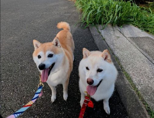 ニコニコ笑顔