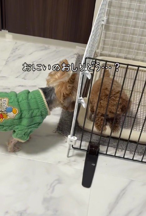 「これからよろしくね」