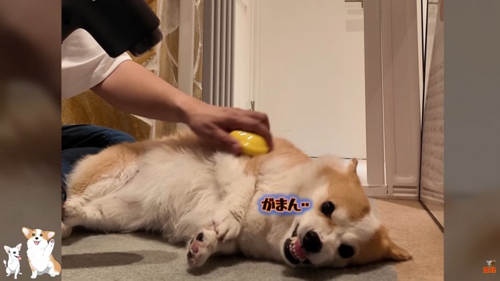 耐える姿が可愛い
