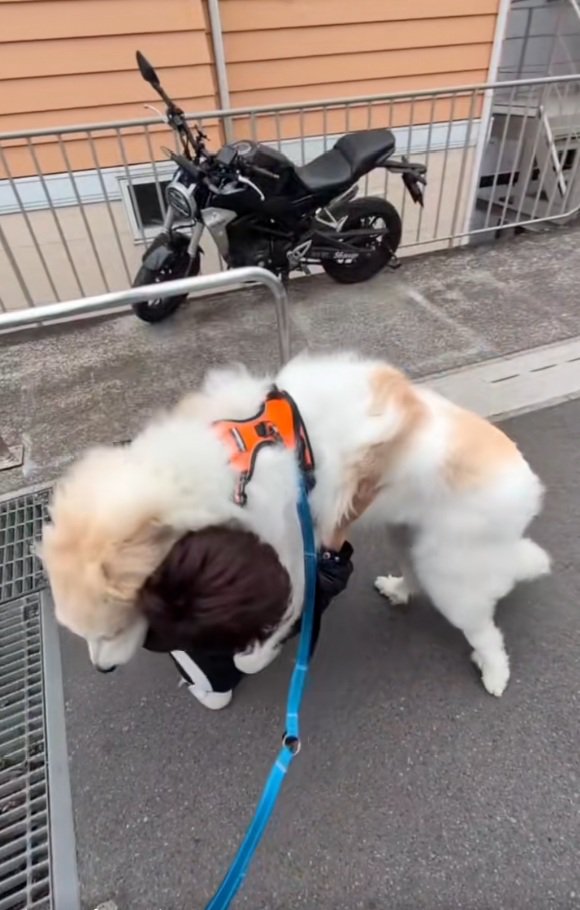 パパから離れないそら君