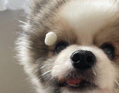 まさかの結末