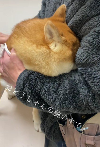 「えっ、もう終わり?」