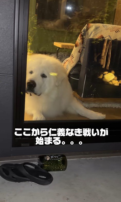 狙いを定めて…