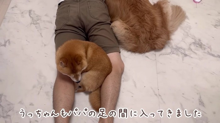 うにくんも集合！！