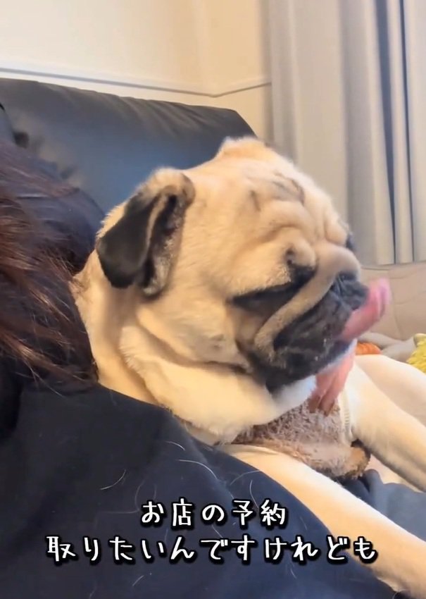 電話するふりのママ