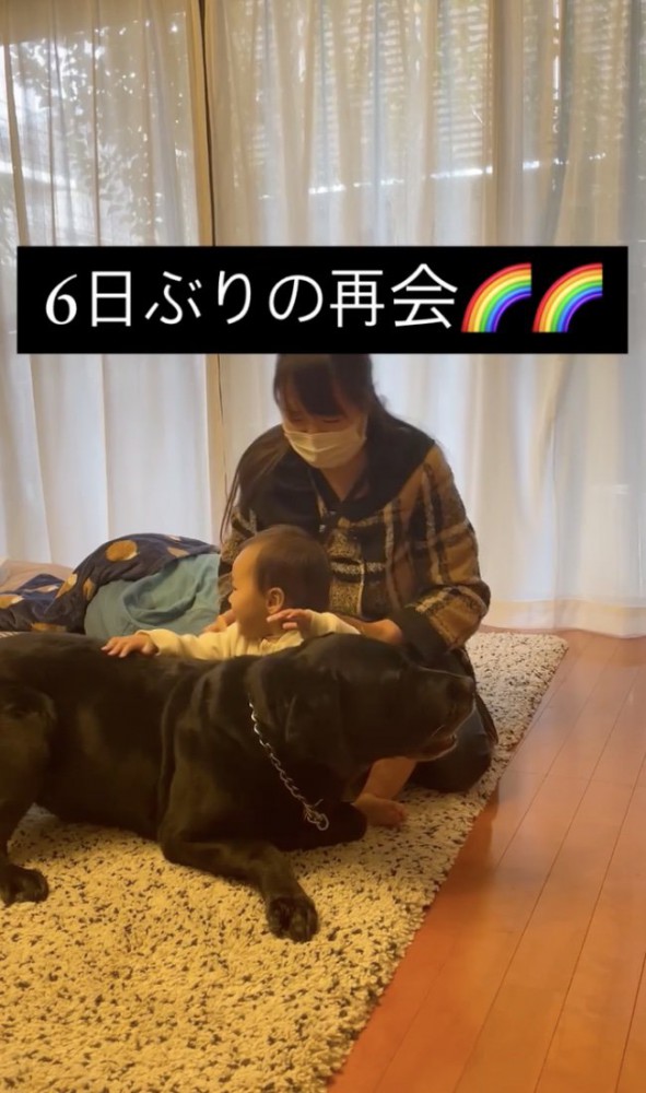 ジャックくん「まってたよー」