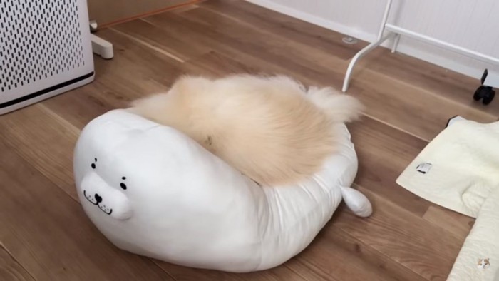 ベッドと同化するポテチくん