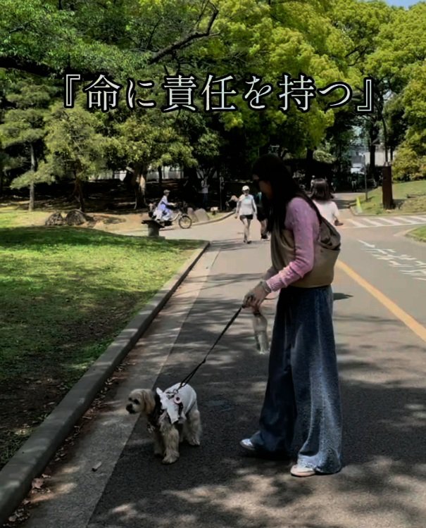 散歩するまるるちゃん