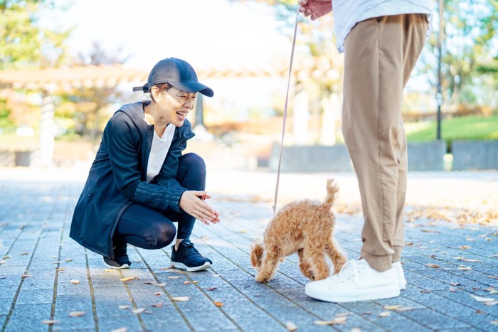犬の前にしゃがむ人