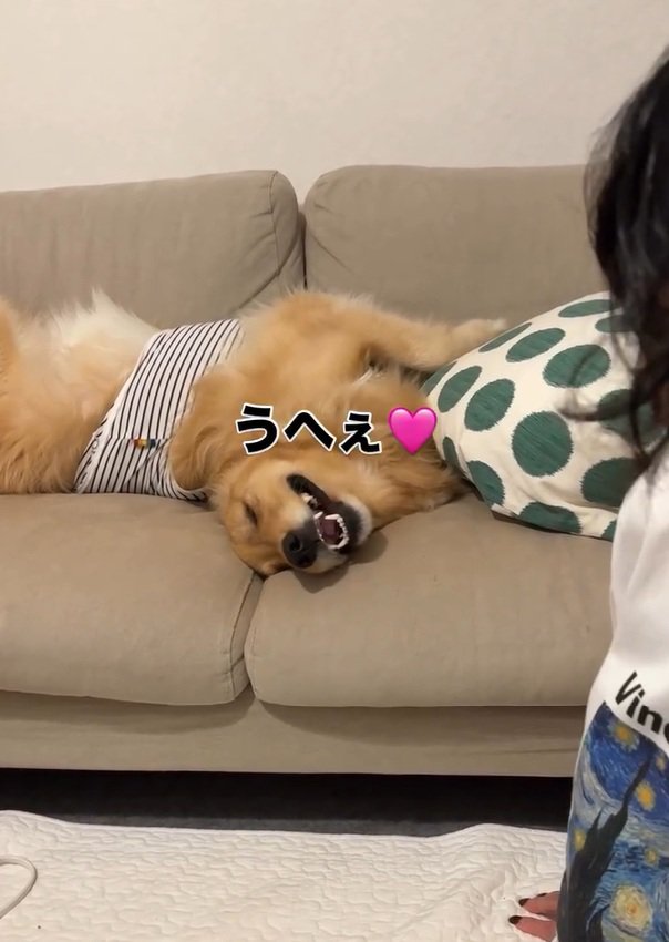 とろける笑顔のにこちゃん