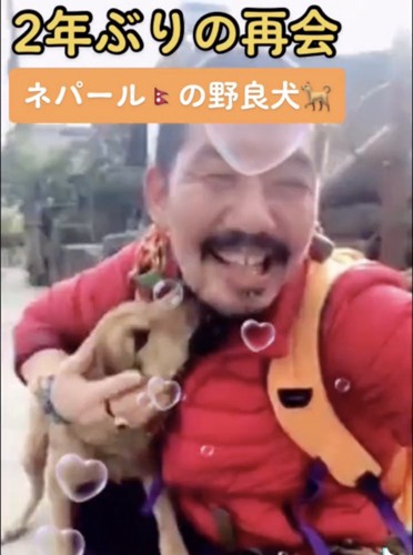 あごをなめる犬