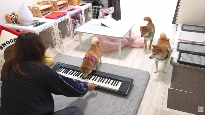 お口で上手に弾いています♪