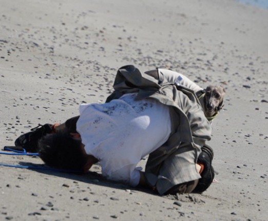 飼い主さんを心配するプットくん2