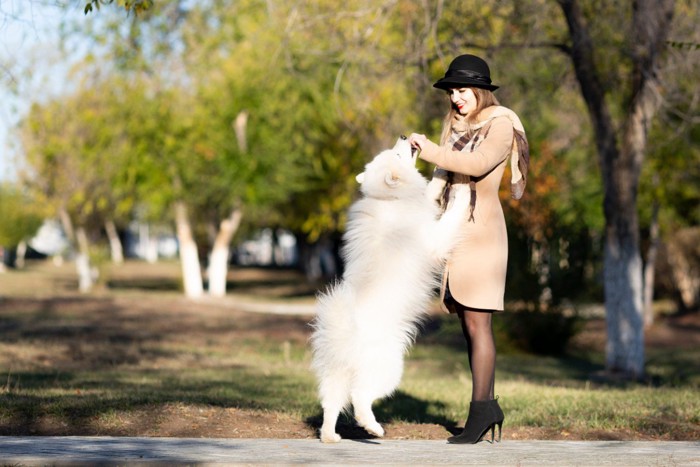 女性に飛びつく犬