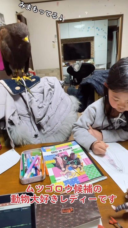 お絵描き中に見守っているタカ