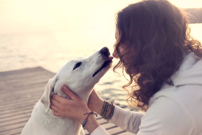 犬 キス 女性