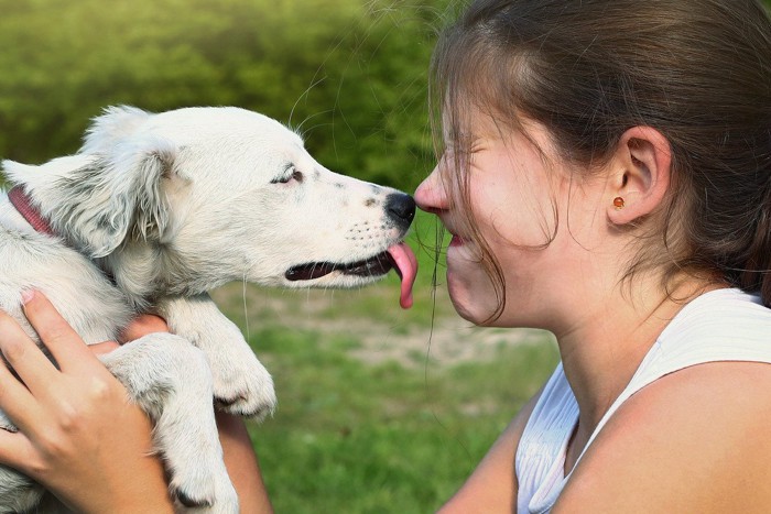 少女の顔を舐める犬