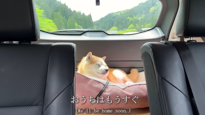 静かに夢の中へ