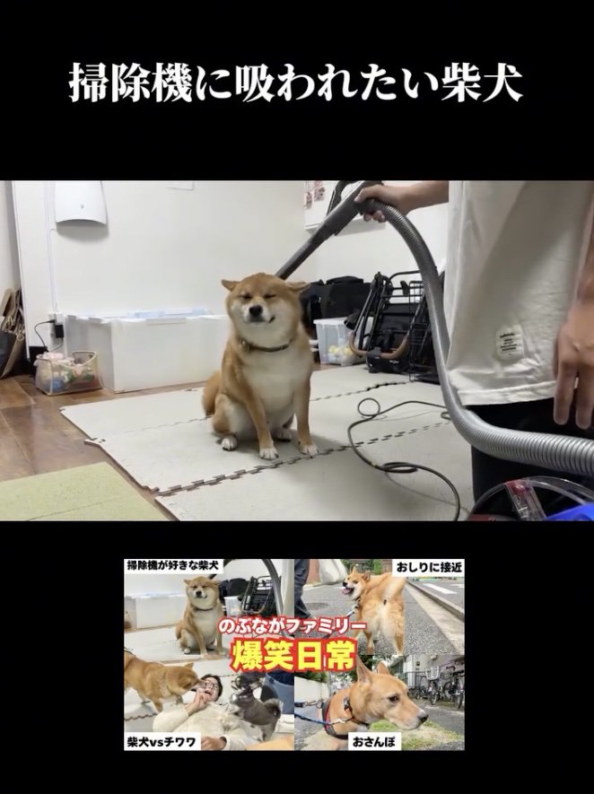 キタキターー