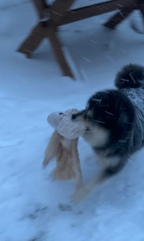 龍之介くんの雪遊び9