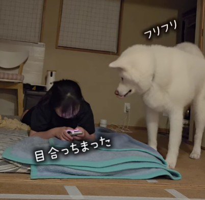 「わふ」