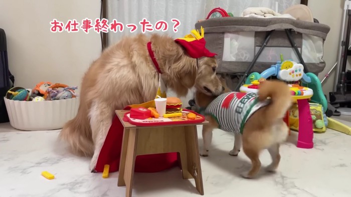 「うちはもう終わったよ～」