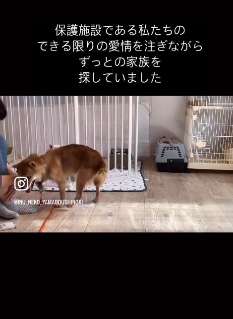 最大限の愛を注いだ