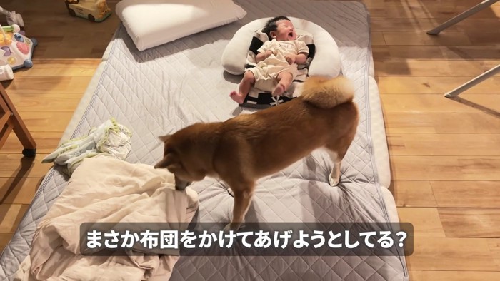 布団をかけようとしてる!?