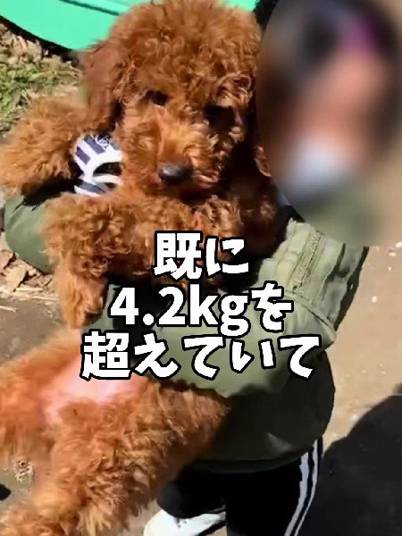 子犬時代からデカかった