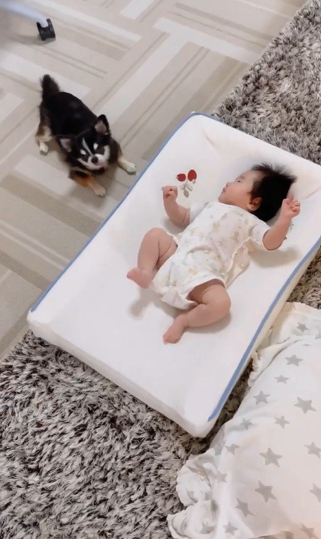 すずちゃんと赤ちゃん⑩