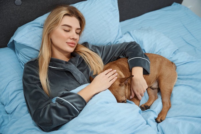 飼い主の腕の中で眠る犬