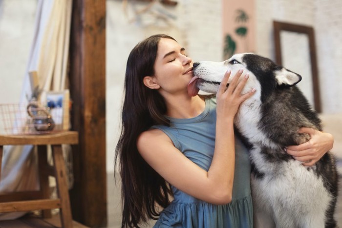 飼い主さんの顔を舐めている犬