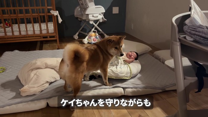 子煩悩なむぎちゃんでした
